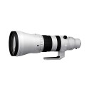 Sigma 300-600 F4 (S) DG OS Sony E-Mount