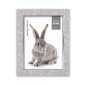 Zep AZ157 Cornice Doneck B 13x18