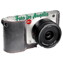Leica 18800 Fondello...