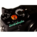 M.T.S. Bee-O-S Orange M240-MM-ME