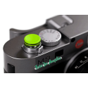 M.T.S. Boop-O-S Green M240-MM-ME
