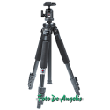 Benro A250F + TESTA BH-00