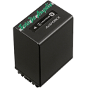 Sony NP-FV100