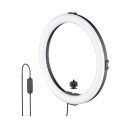 Joby JB01733-BWW Beamo Ringlight 12"